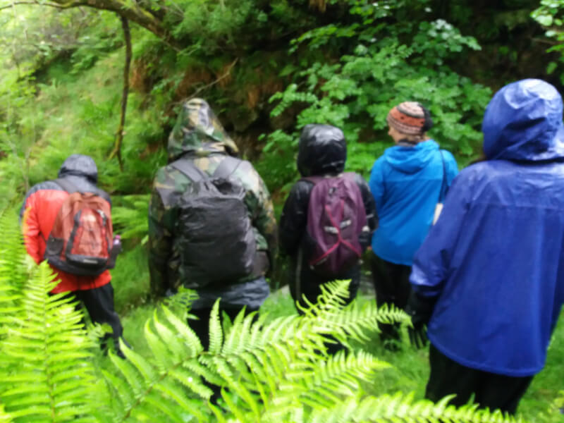 Quests & Retreats