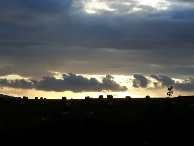 Caerlaverock Skies