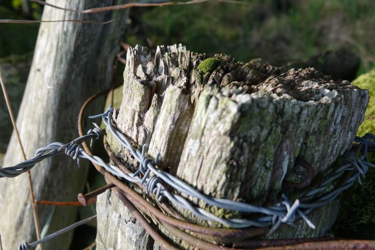 Old fence post