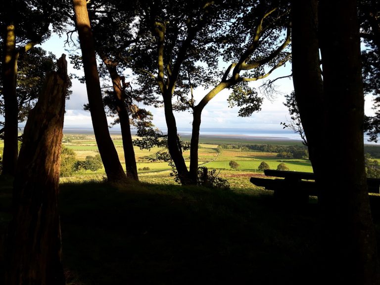 View from Wardlaw due South