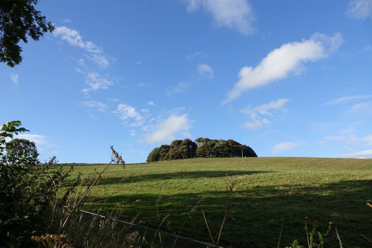 Wardlaw hill