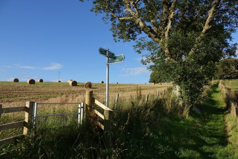 Wardlaw paths