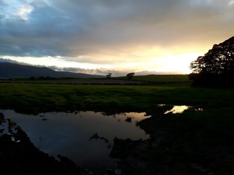 Wardlaw walk reflections