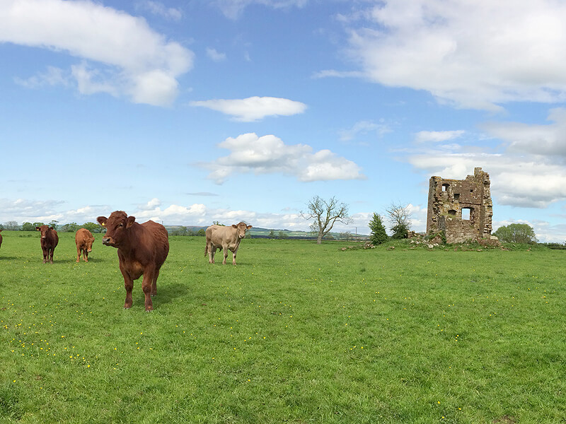Isle Tower, Bankend